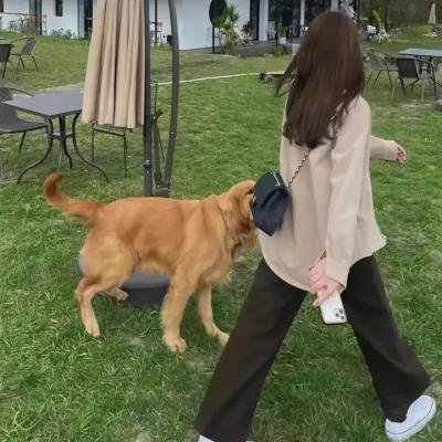 无尽之海